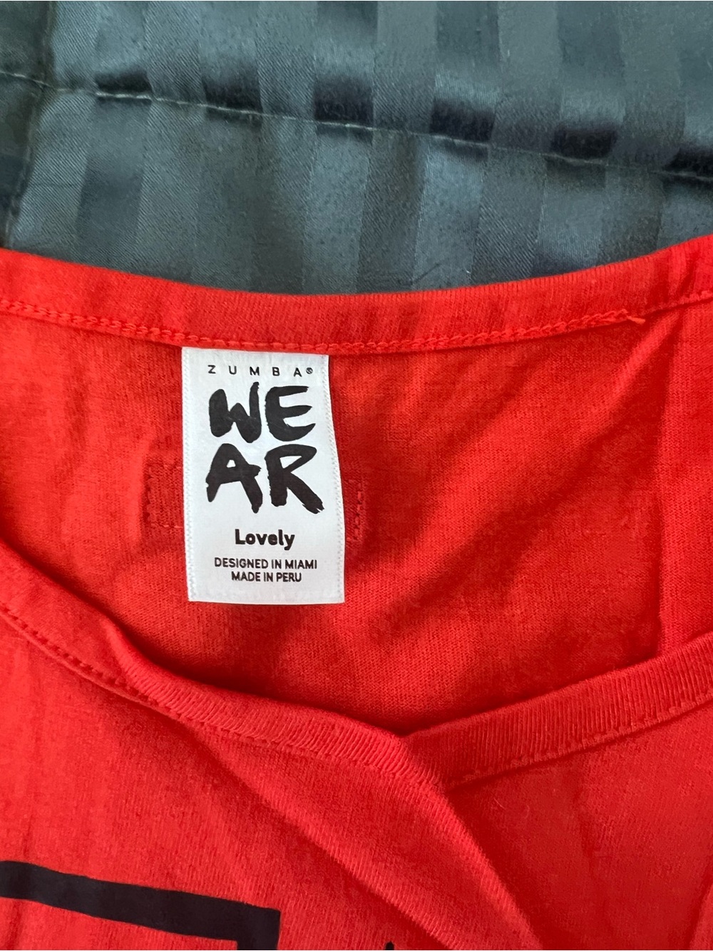 Zumba Fitness Red Crop Top - We Are Lovely Graphic